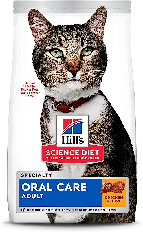 6 Ways to Keep Cats Teeth Clean (With & Without Brushing)
